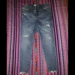 Lane Bryant Jeans